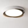 Geometry Trichromatic Ceiling Light - Black