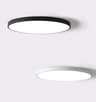 Super Bright 42W Ceiling Light